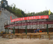 成功案例